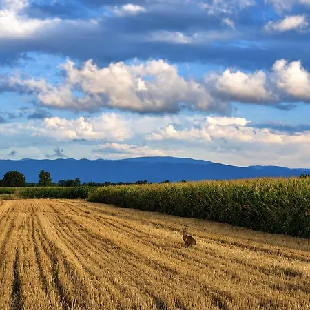 Prázdninový dům Tri šešira Bijeljina
